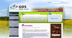Desktop Screenshot of gds49.com