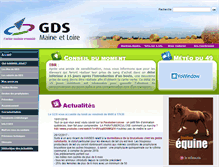 Tablet Screenshot of gds49.com